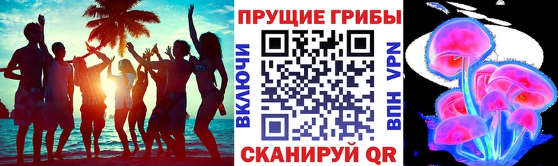 Псилоцибиновые грибы мицелий  Купить где  Реж 