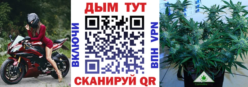 Марихуана сатива Реж